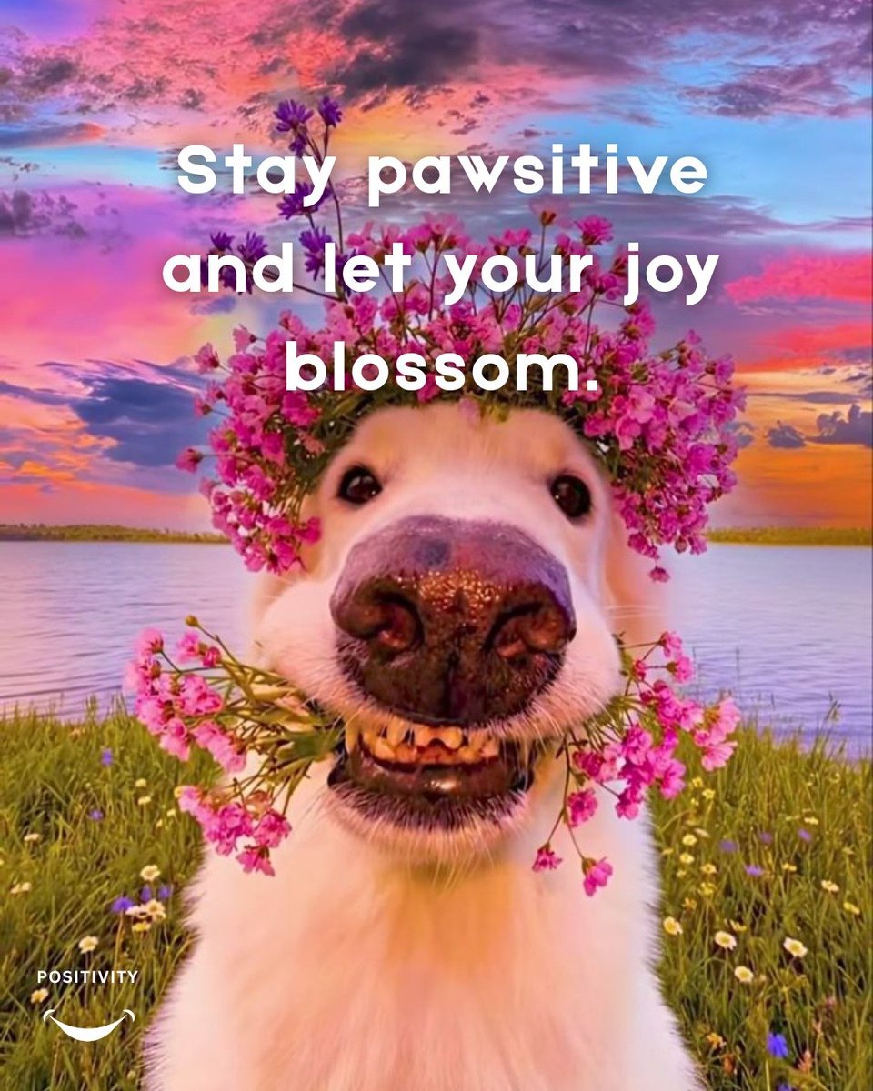 POSITIVITY tweet media