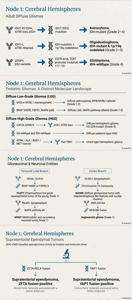 Eman Magdy tweet media