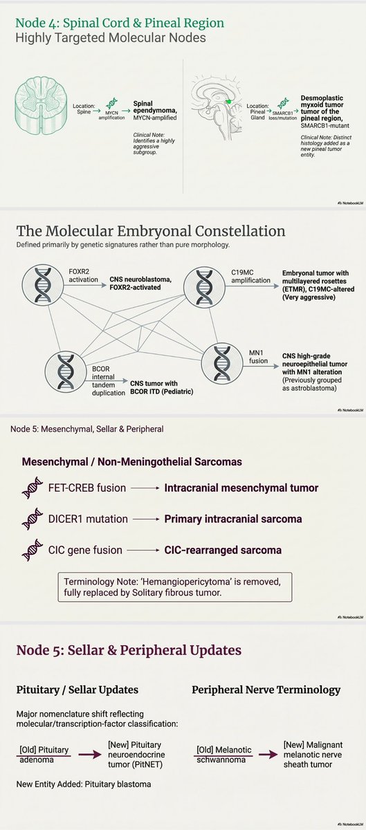 Eman Magdy tweet media
