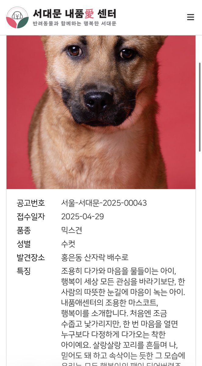 설명에서 너무 큰 사랑이 느껴져
비상.. . . 눈물 깍 참아.. .