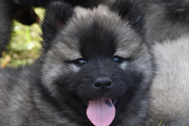 John Valentine tweet media