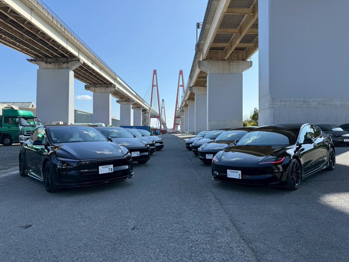 MODEL3 LR&P&Y tweet media