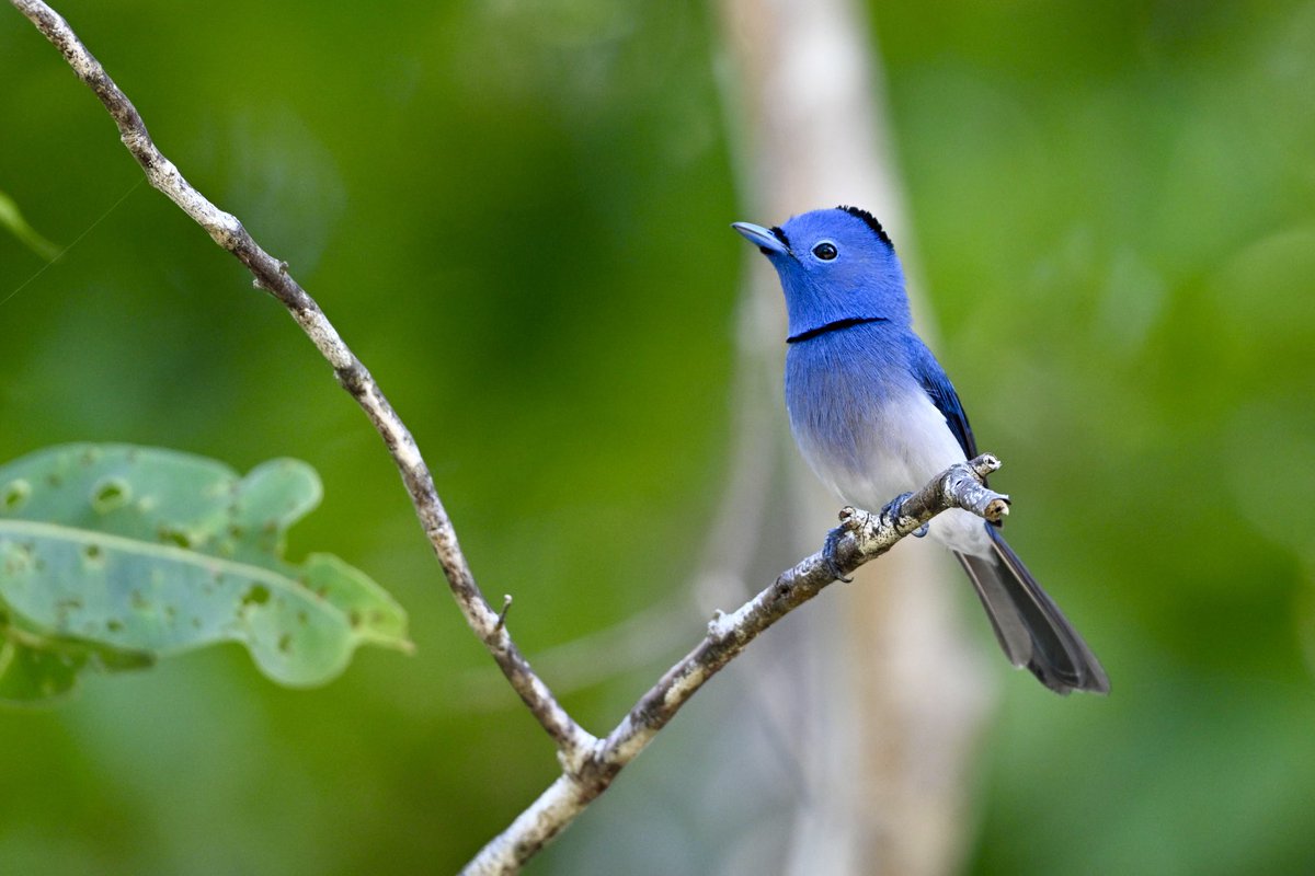 Dear algorithm, please show this post only to people who love clicking pictures, hiking, being in nature,watching birds, admiring sunrises and sunsets, capturing pretty skies and waterfalls, and creating art 🤍   

(Drop pictures clicked by you to get added)