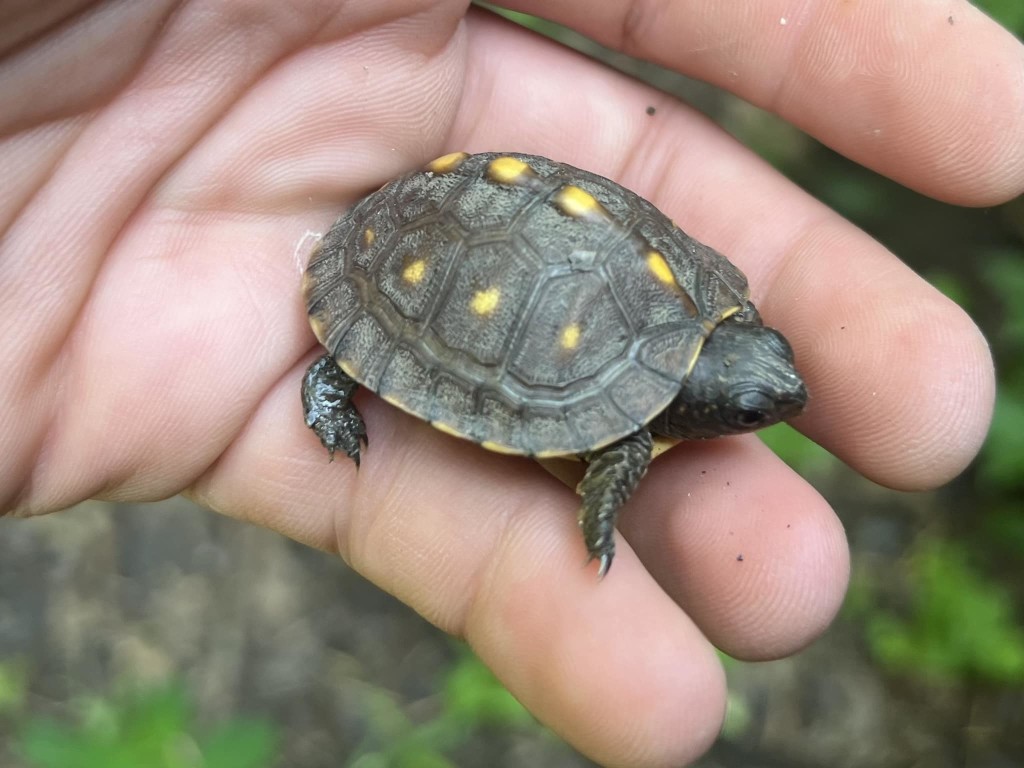 Tourism, Arts, & Heritage Cabinet tweet media