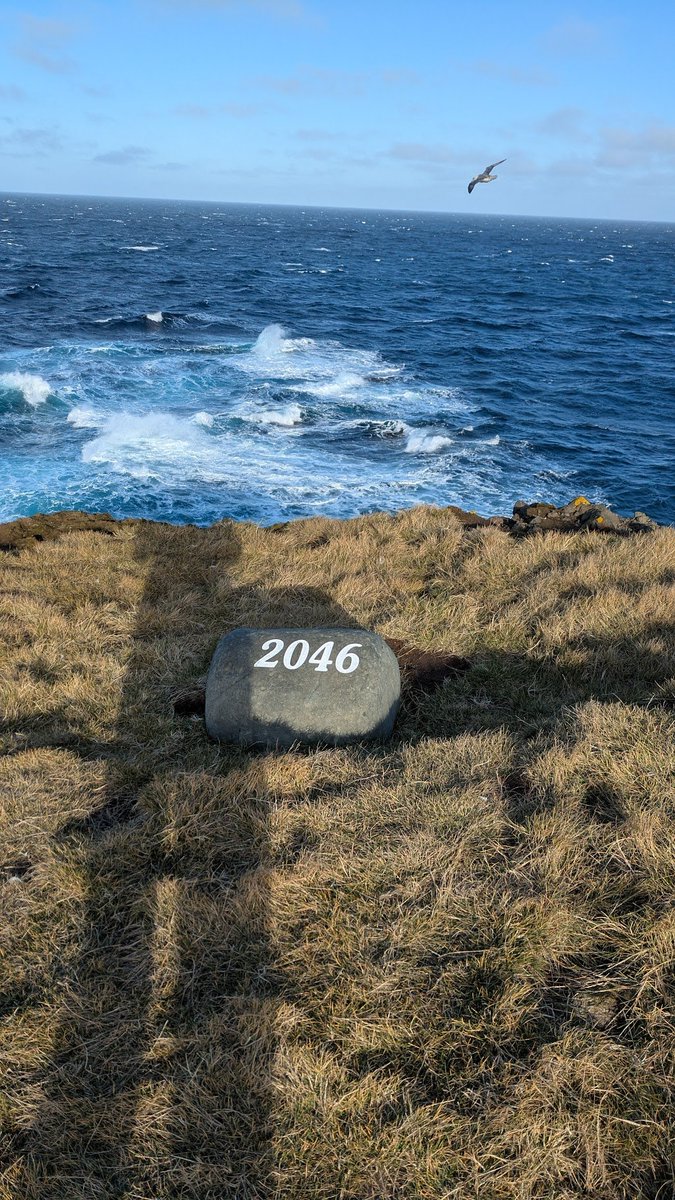 Thomas Curry tweet media