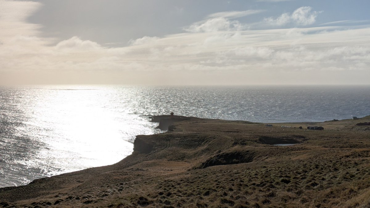 Thomas Curry tweet media