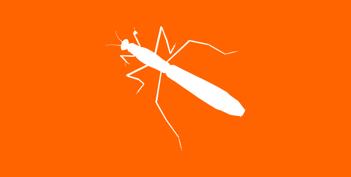 OSU Alumni Assoc. tweet media