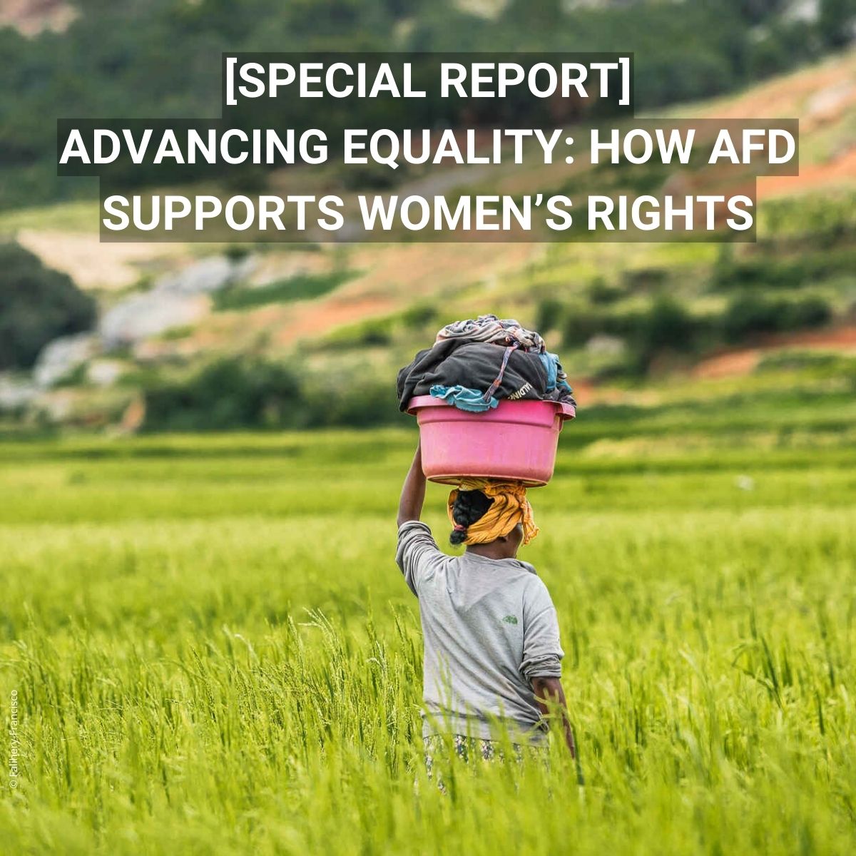 AFD_en 🇫🇷 🇪🇺 tweet media