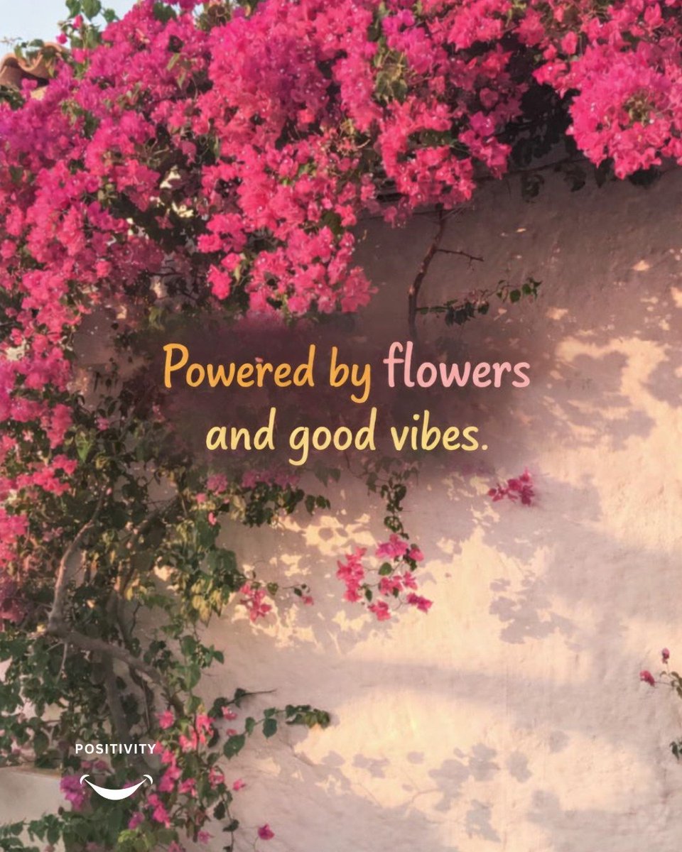POSITIVITY tweet media