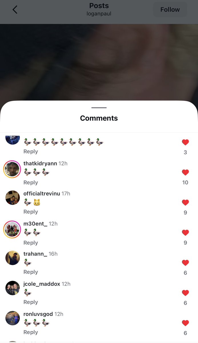 I AM ACTUALLY CRYING .. everybody is dropping duck emojis on Logan Paul’s instagram post .. I am actually CRYING right now, yall funny AF 😂😂😂🦆🦆🦆🦆🦆🦆🦆🦆