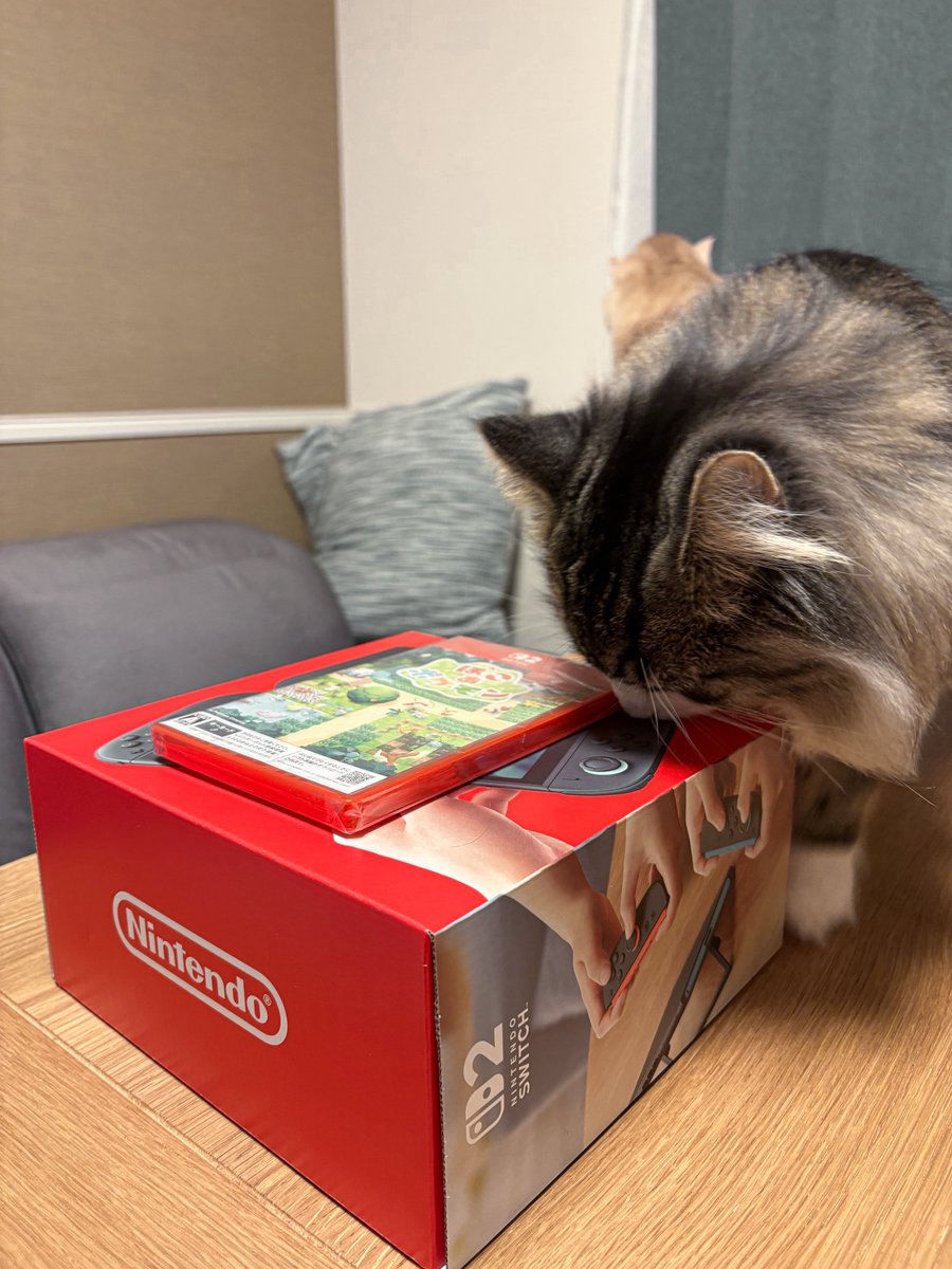 nem0suke's tweet photo. やっぱり欲しくて激務後買ってきちゃったｧｧ
みんなも買ってぽこあやろう https://t.co/DDhtD74uPV