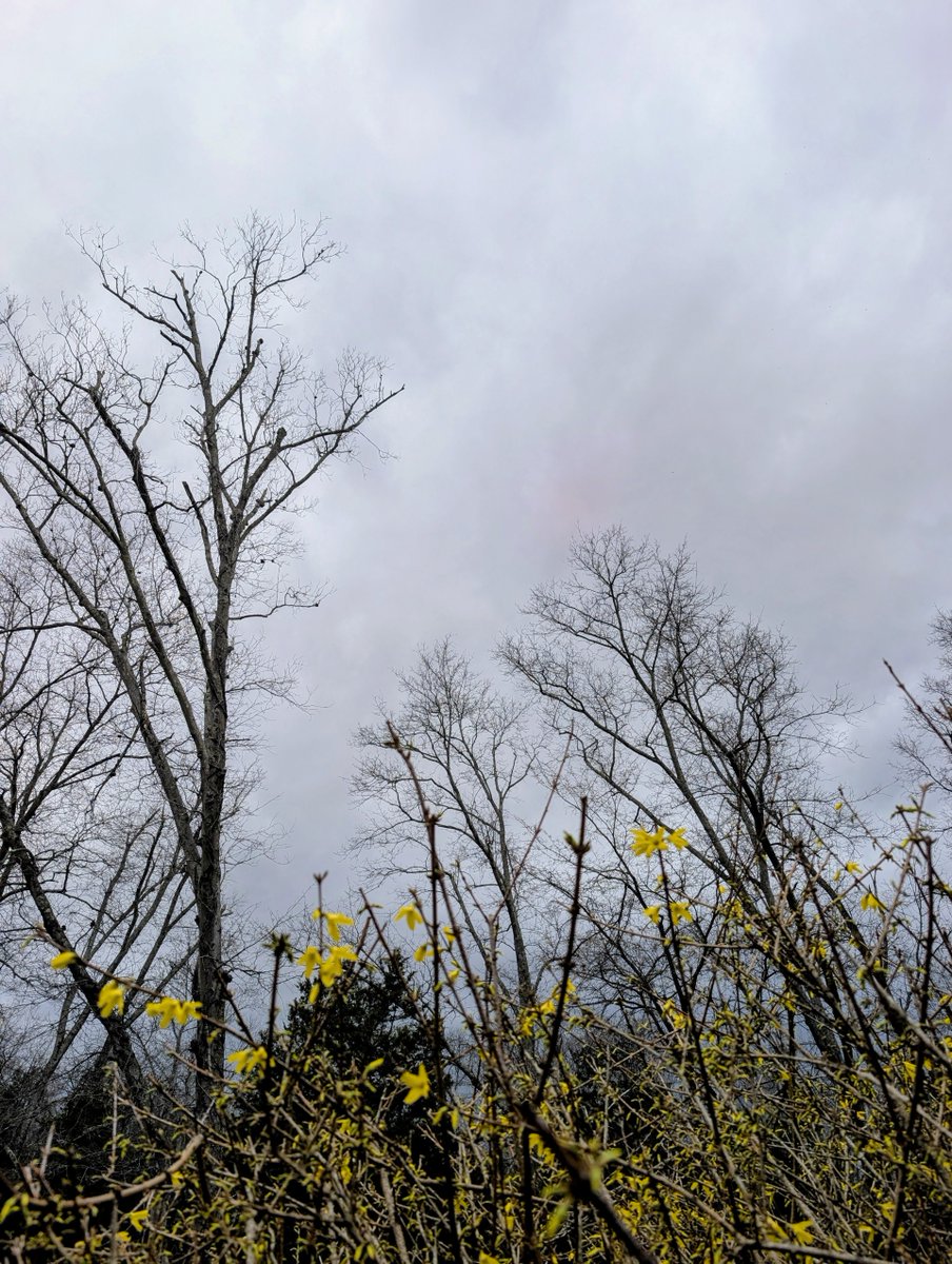 Louisville Air Pollution Control tweet media