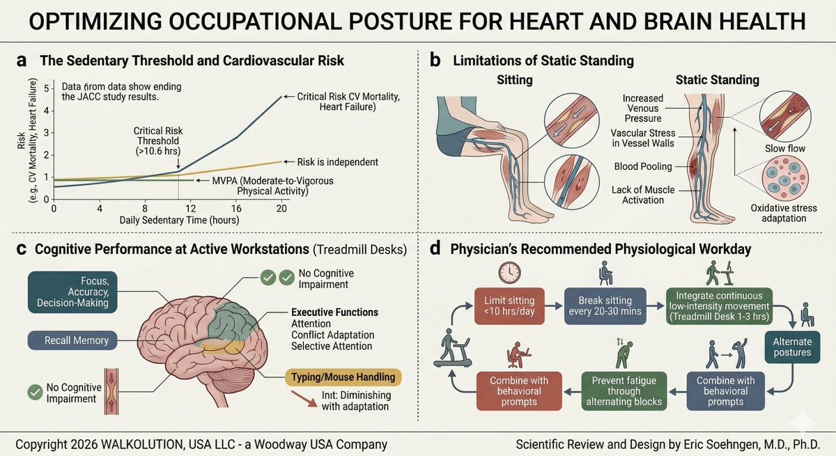 WALKOLUTION tweet media