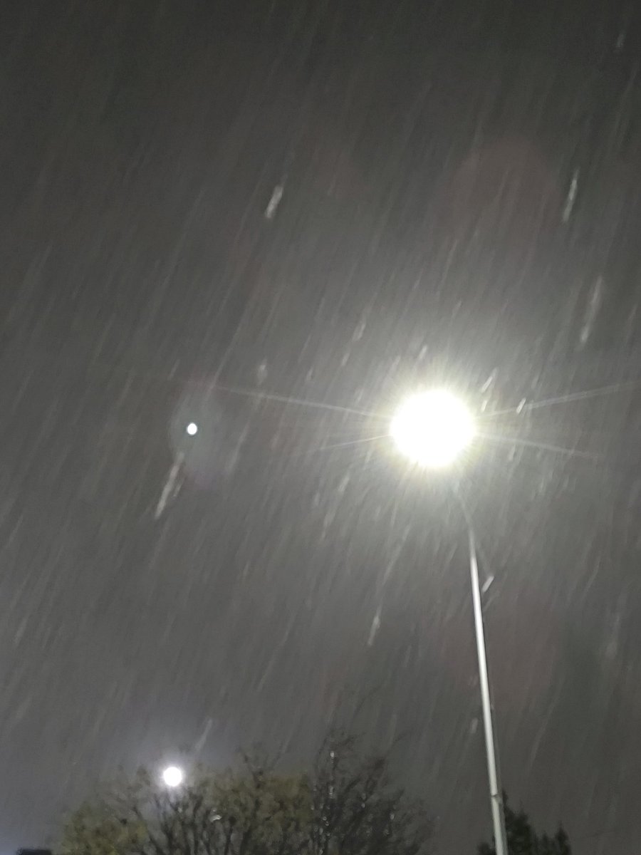 санечка tweet media