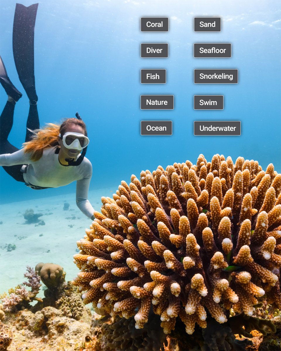 snstweets's tweet image. ✨ Save time with AI auto-tagging in ShareBrowser MAM. 

Learn more at hubs.ly/Q045Fk4G0

#VideoProduction #AI #MachineLearning #Metadata #ShareBrowser #snsEVO #PostProduction #WorkflowEfficiency #EVOSuite