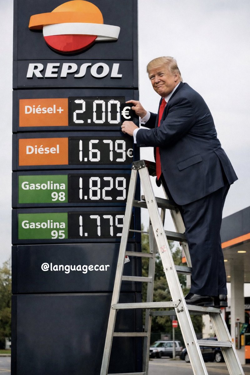 languagecar tweet media