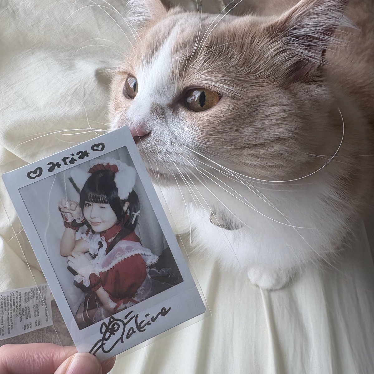 fabrollv's tweet photo. HappyValentine♡🍫
にゃんチェキとチョコチェキほしかったから凄く嬉しい〜〜！素敵なバレンタインをありがとう♡ https://t.co/4DKgJfEuQ5
