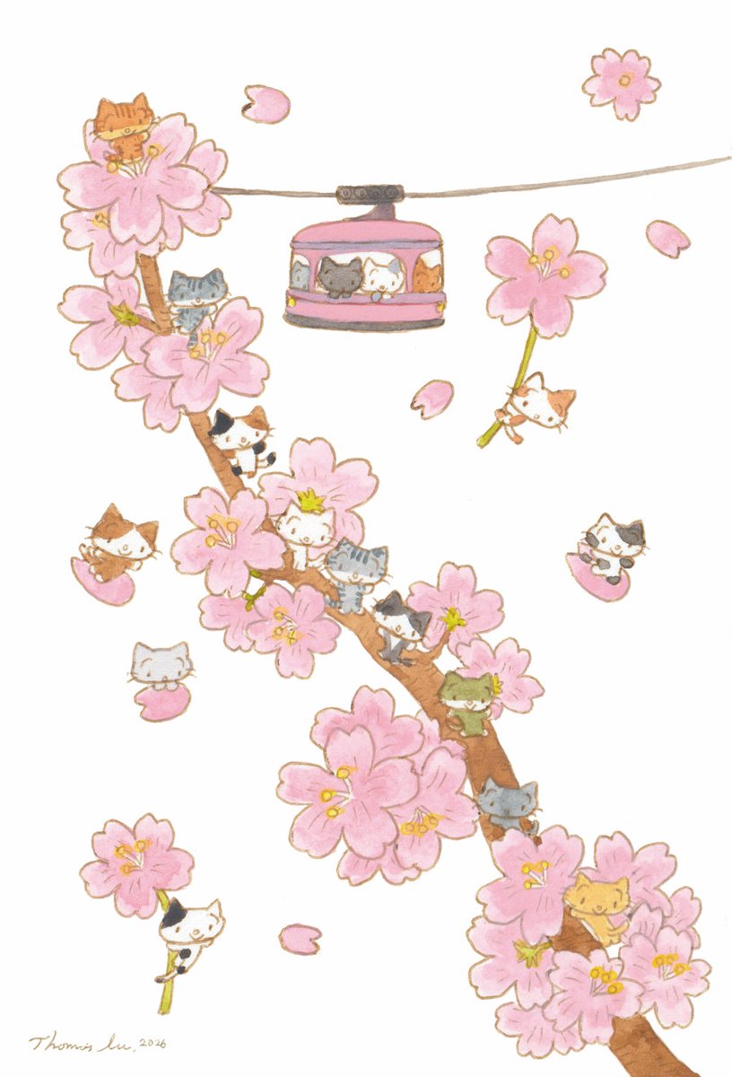 토마쓰리 tweet media