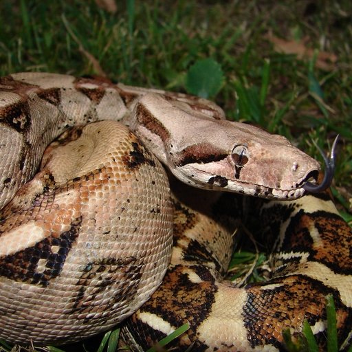 Lucía Hernández | Amo La Ciencia tweet media