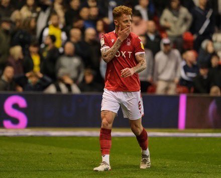 GIFS, Funny and Forest tweet media