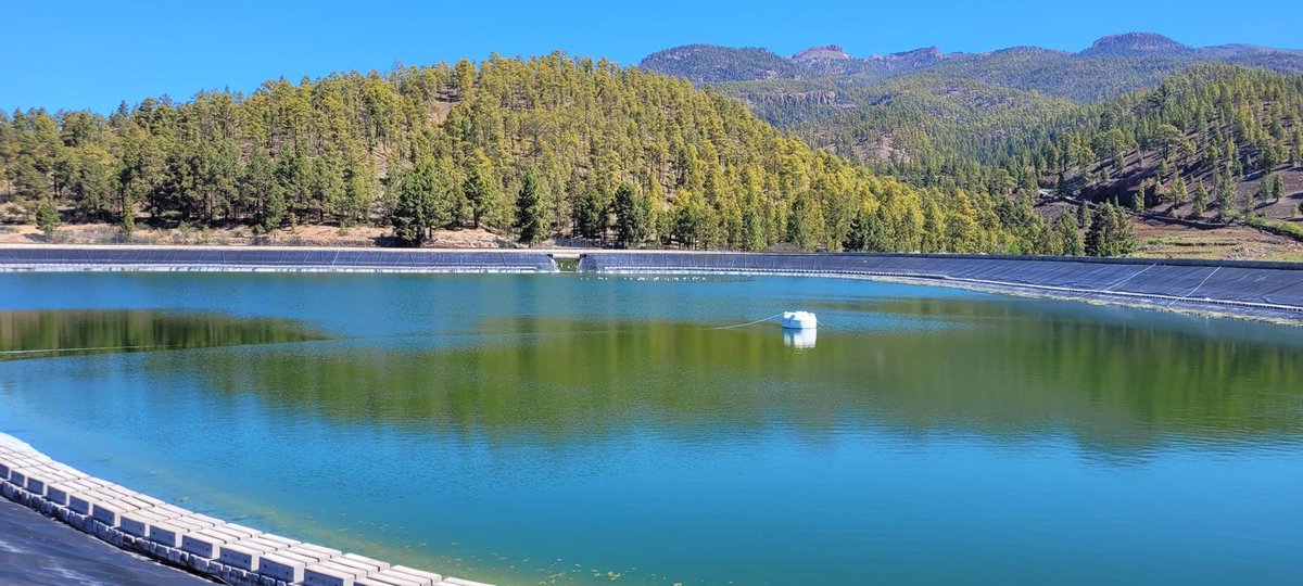 Cabildo de Tenerife tweet media