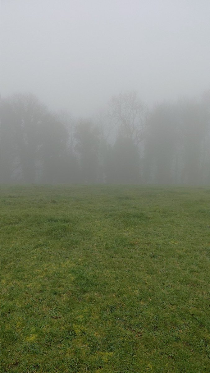 Pam Keevil tweet media