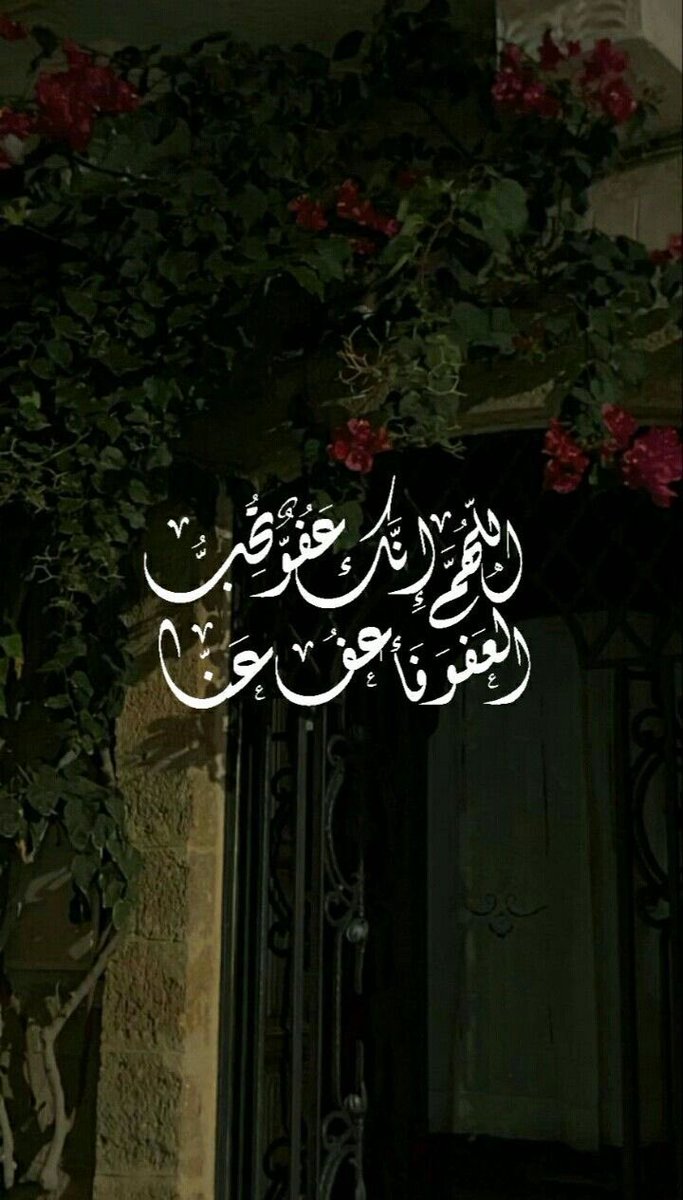 شتلات بريّة tweet media