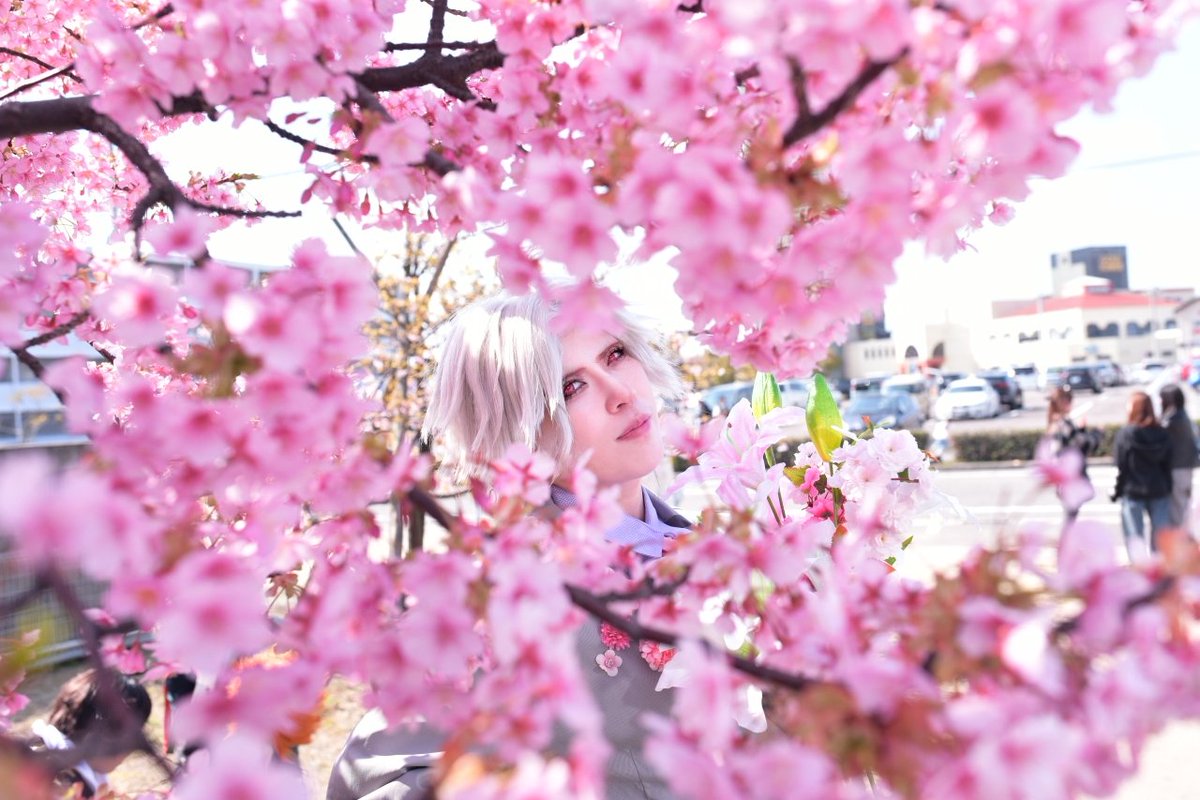 ぐみコスプレ垢 tweet media