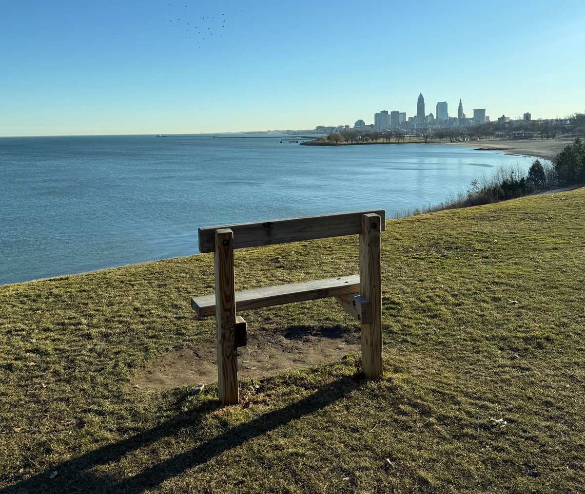 Dylan Pierce tweet media