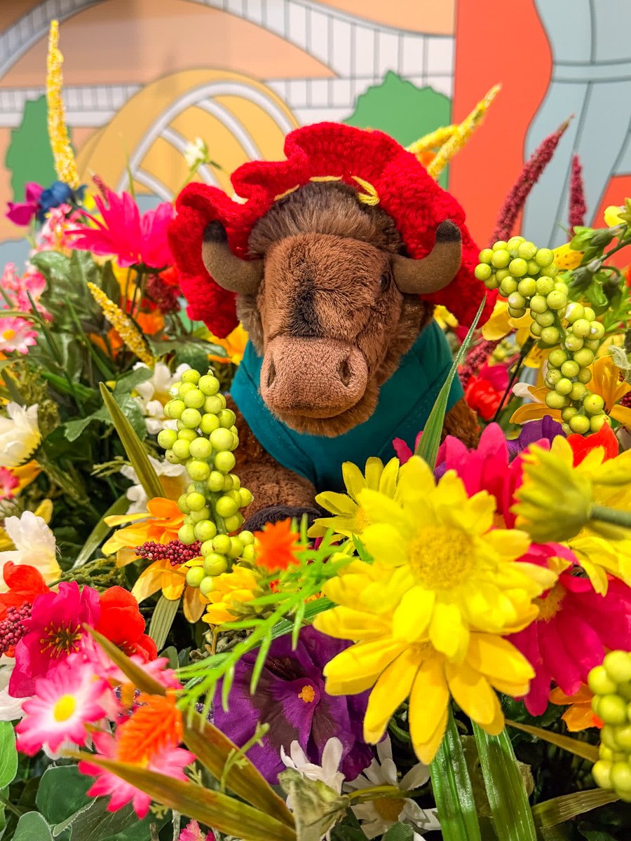 Go SoIN Tourism tweet media