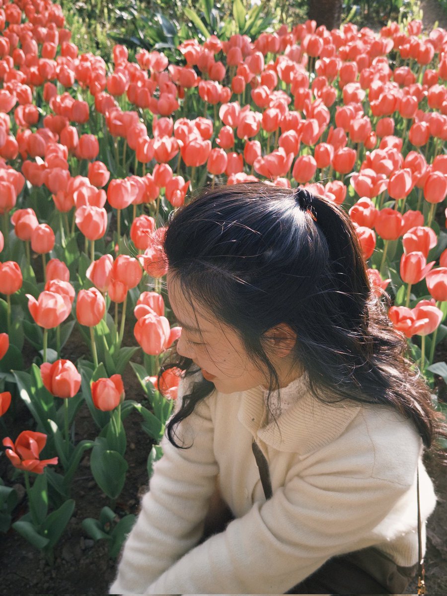 🇨🇳凡人不烦✨🍃 tweet media