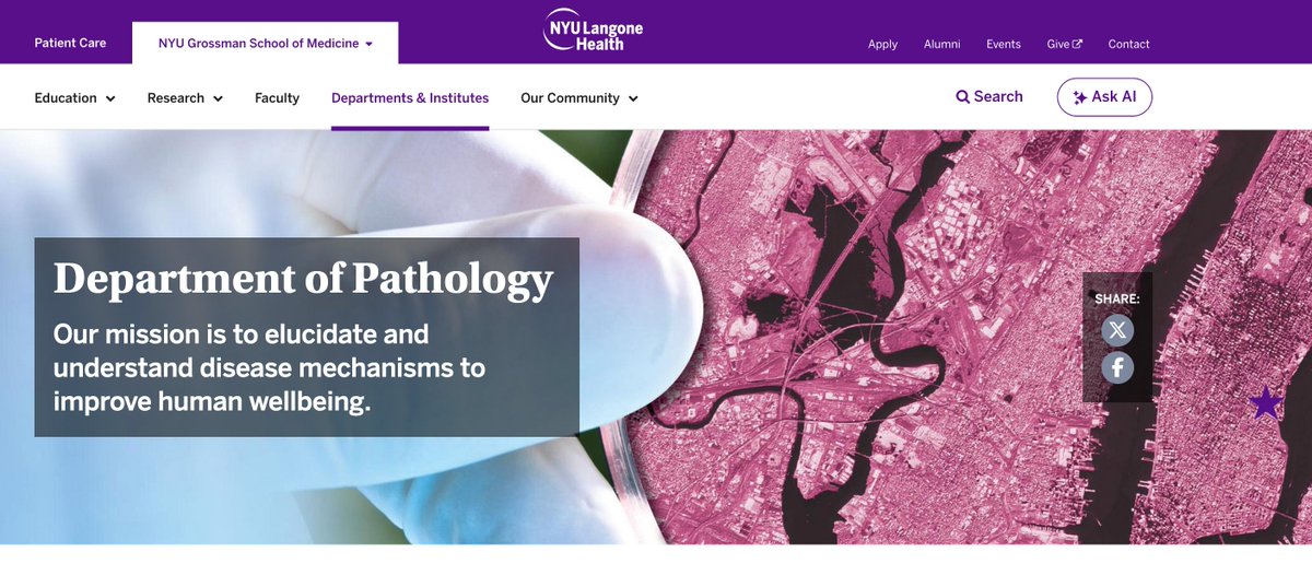 Iannis Aifantis tweet media