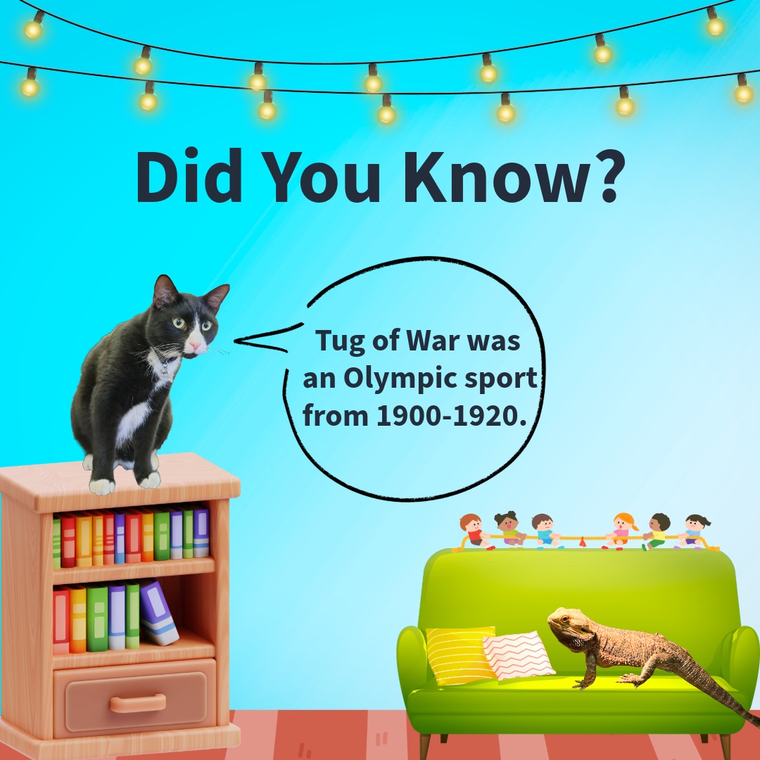 David A Howe Library tweet media