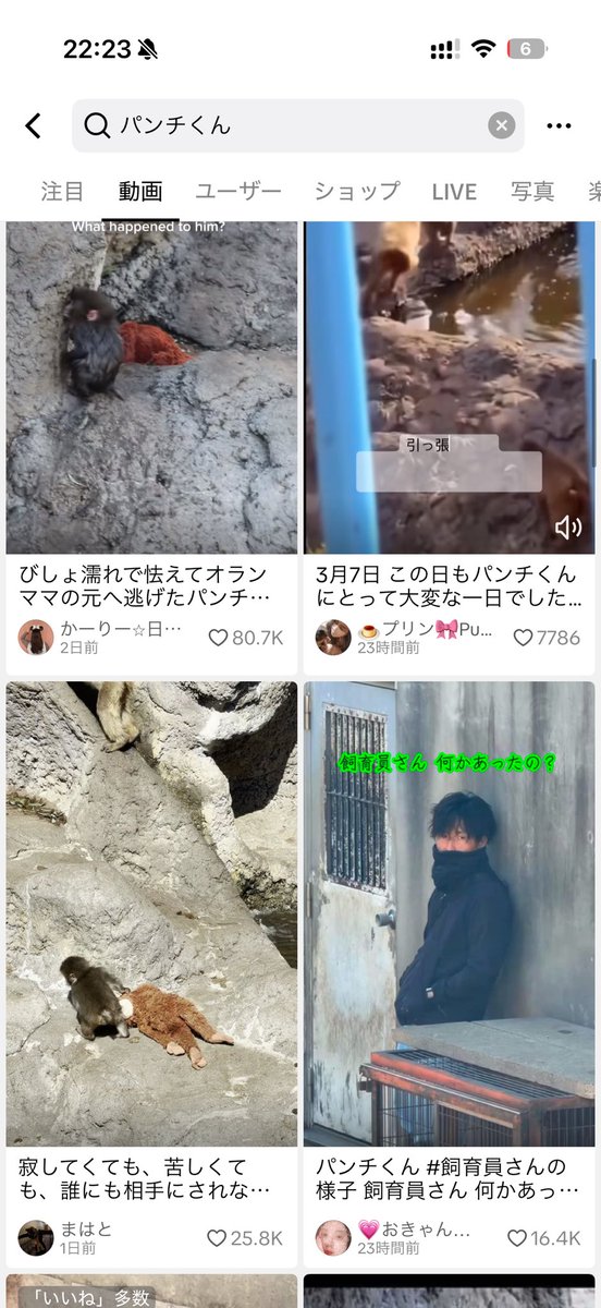 まるはまるでまるだ tweet media