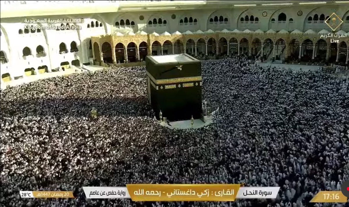 الدب نت ALDOBnet tweet media