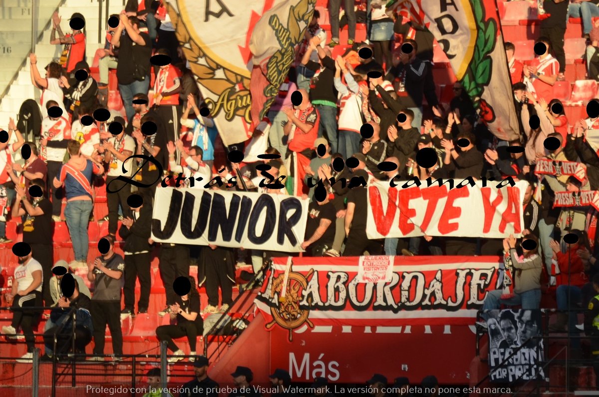 LA GRADA DETRÁS DE UNA CÁMARA tweet media