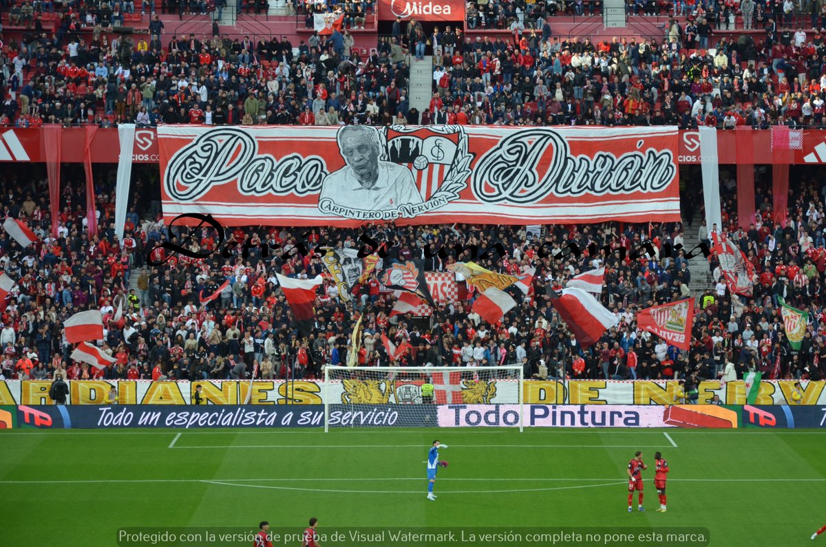 LA GRADA DETRÁS DE UNA CÁMARA tweet media