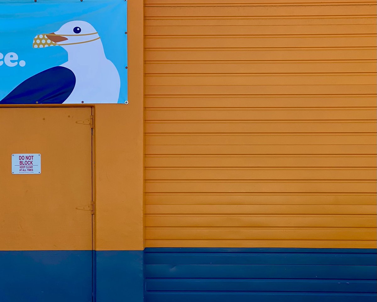 simon tobin tweet media