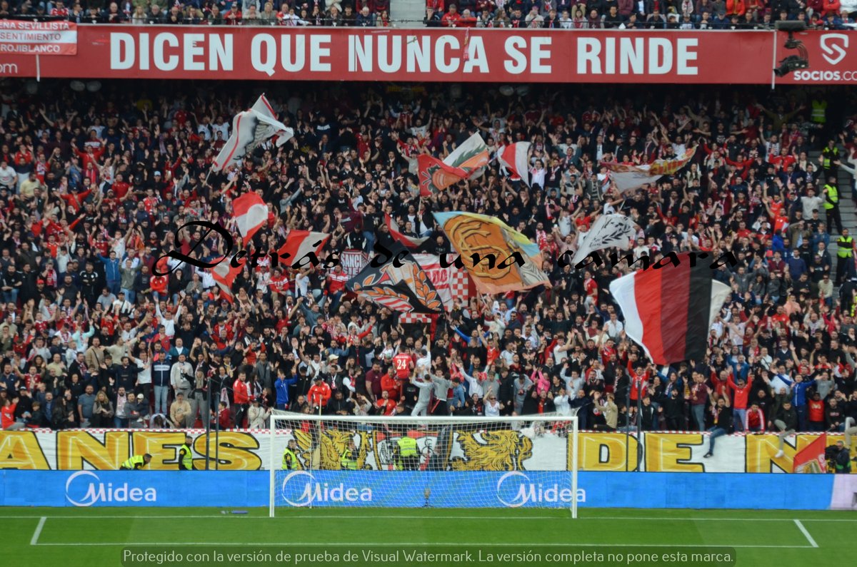 LA GRADA DETRÁS DE UNA CÁMARA tweet media