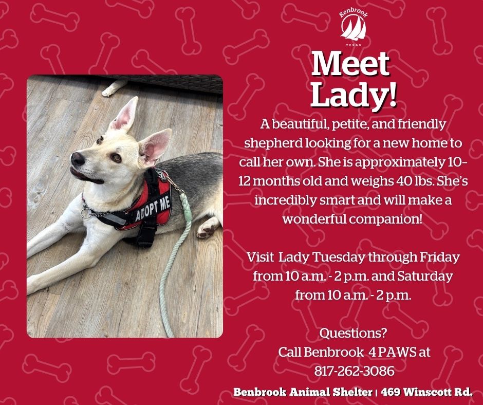 City of Benbrook, TX tweet media