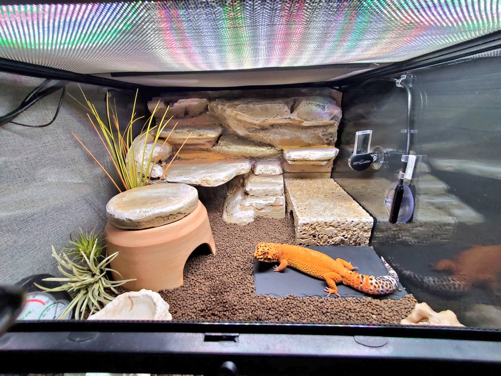 ヒナタ tweet media