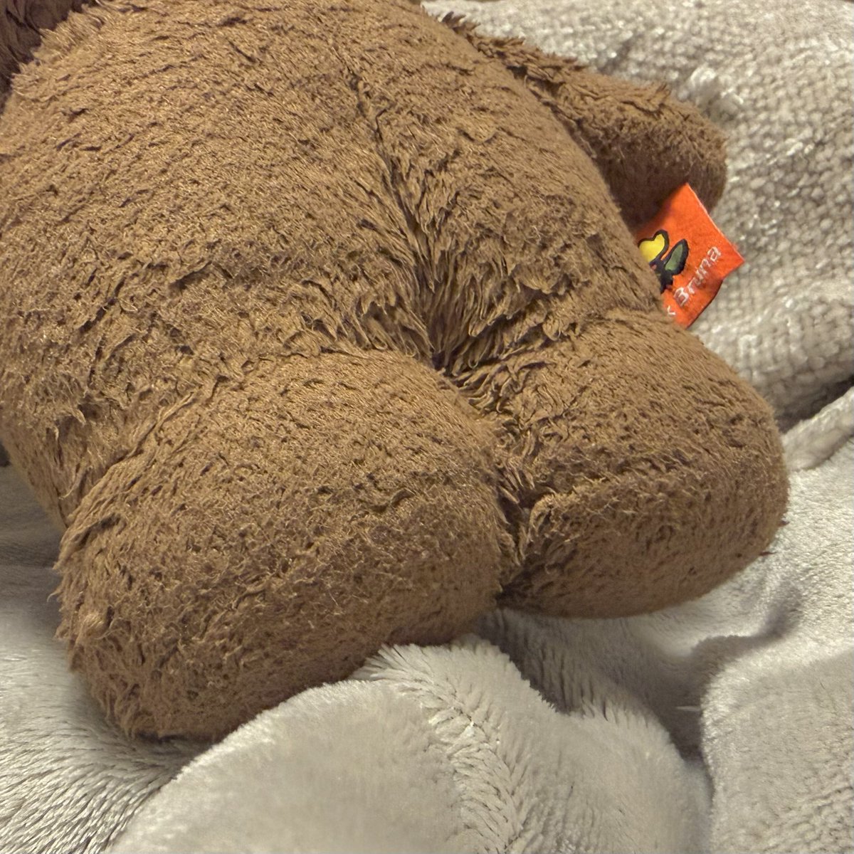 ぺね と ぼり tweet media