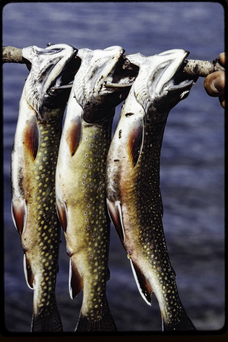 Oliver Dahl tweet media