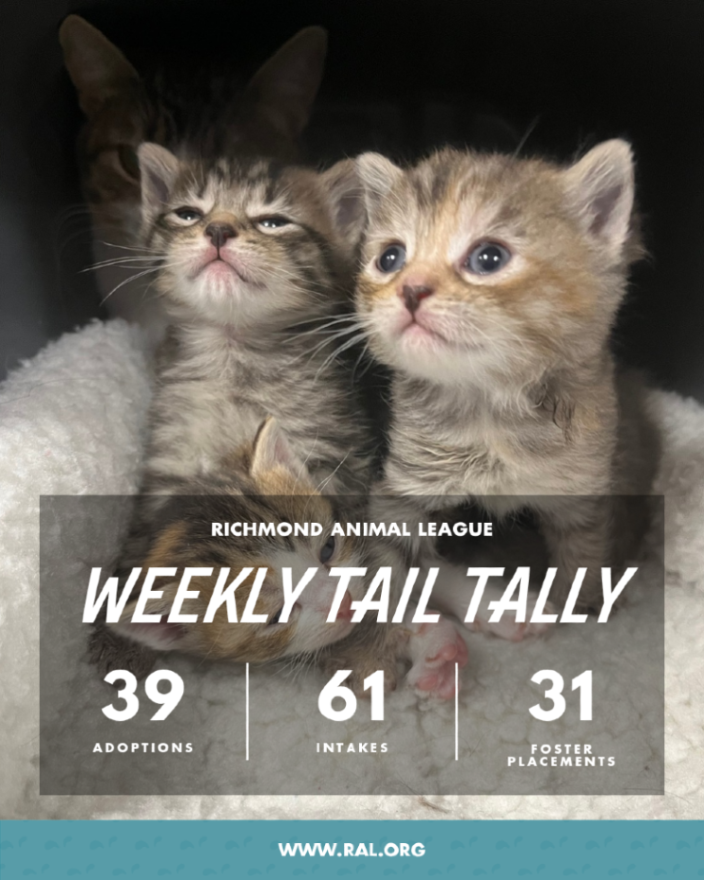 RichmondAnimalLeague tweet media