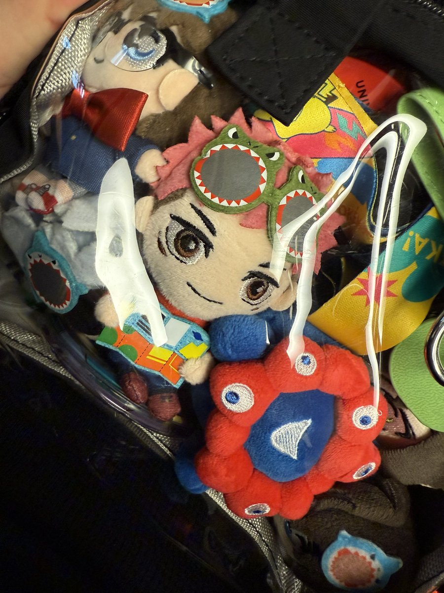 楽しかったなぁと思い返す...まじパレード見れたの感動した...😭
そして、当日合流したら、バッグお揃いとか思わんやん🥰並べて写真撮っておけば良かったなぁ...