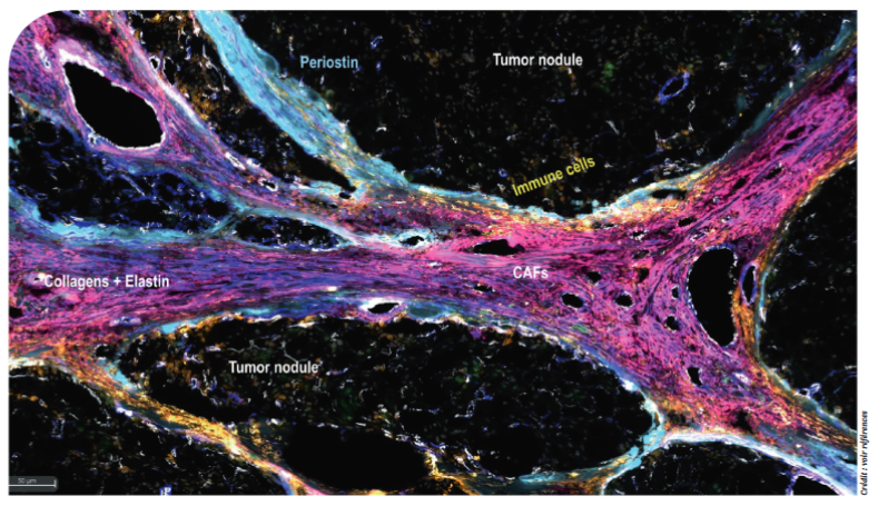 GIS IBiSA tweet media