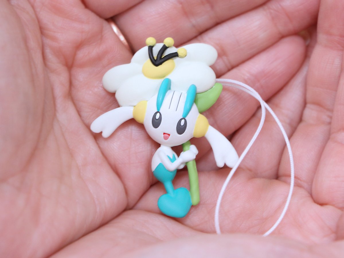 ポケモンだいすきクラブ編集部【公式】 tweet media