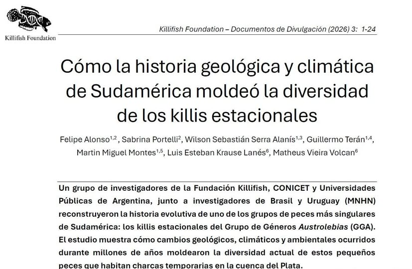 Killifish Foundation - Research and Conservation tweet media