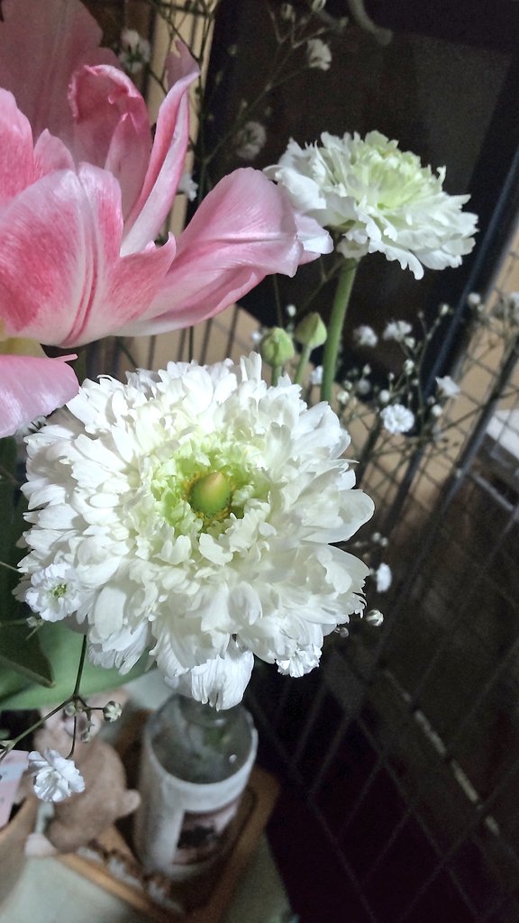 しーちゃん tweet media