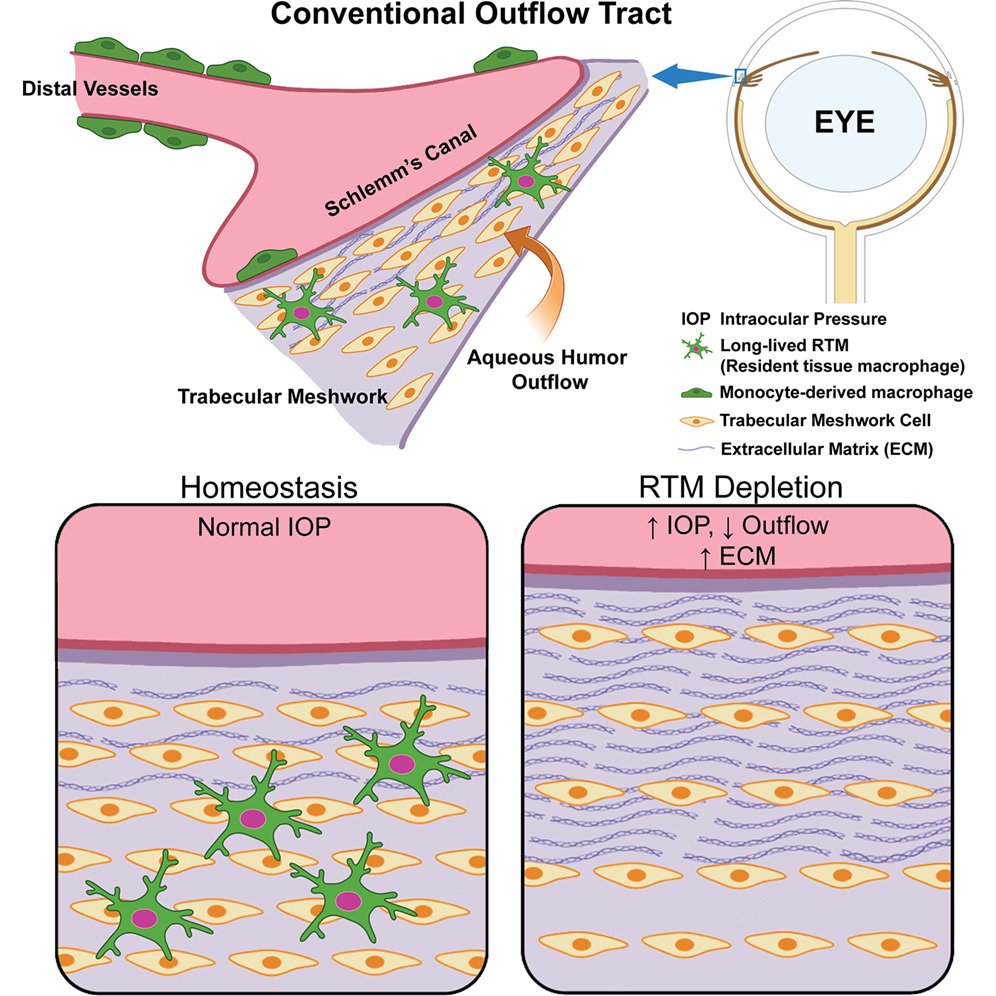 John Lukens tweet media